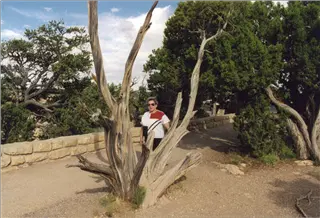 small_merlene webster-b.webp